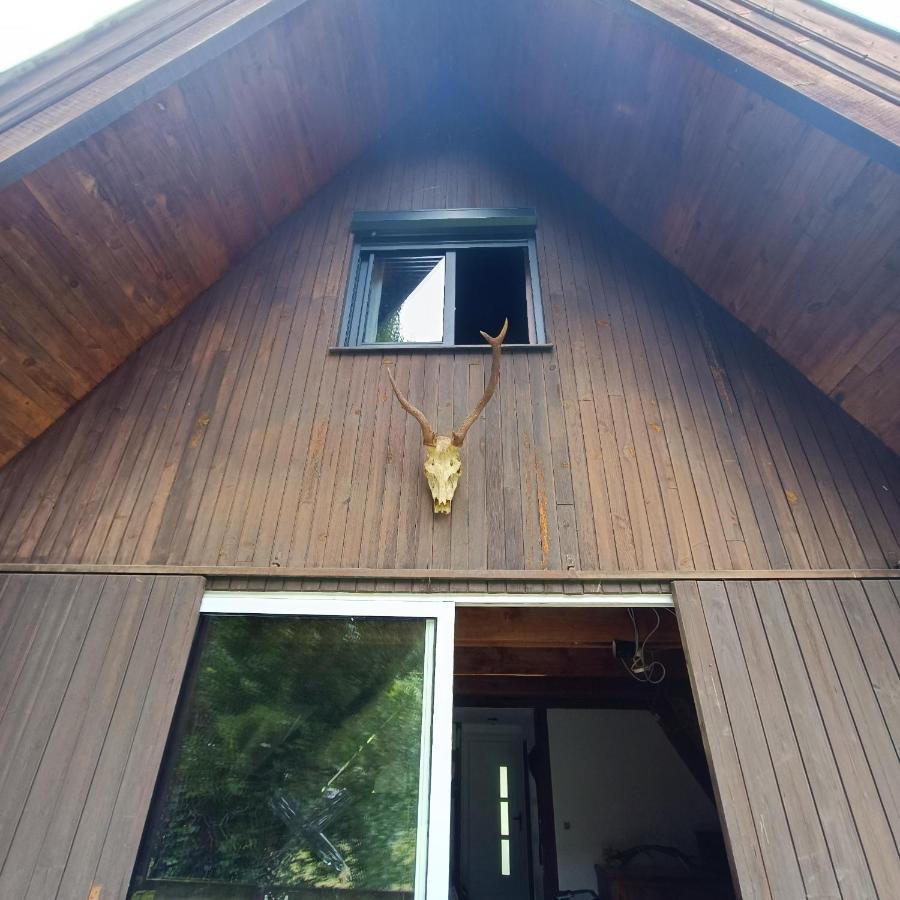 Chalet- Vallee De Luchon - Vallee De La Pique Cierp Εξωτερικό φωτογραφία